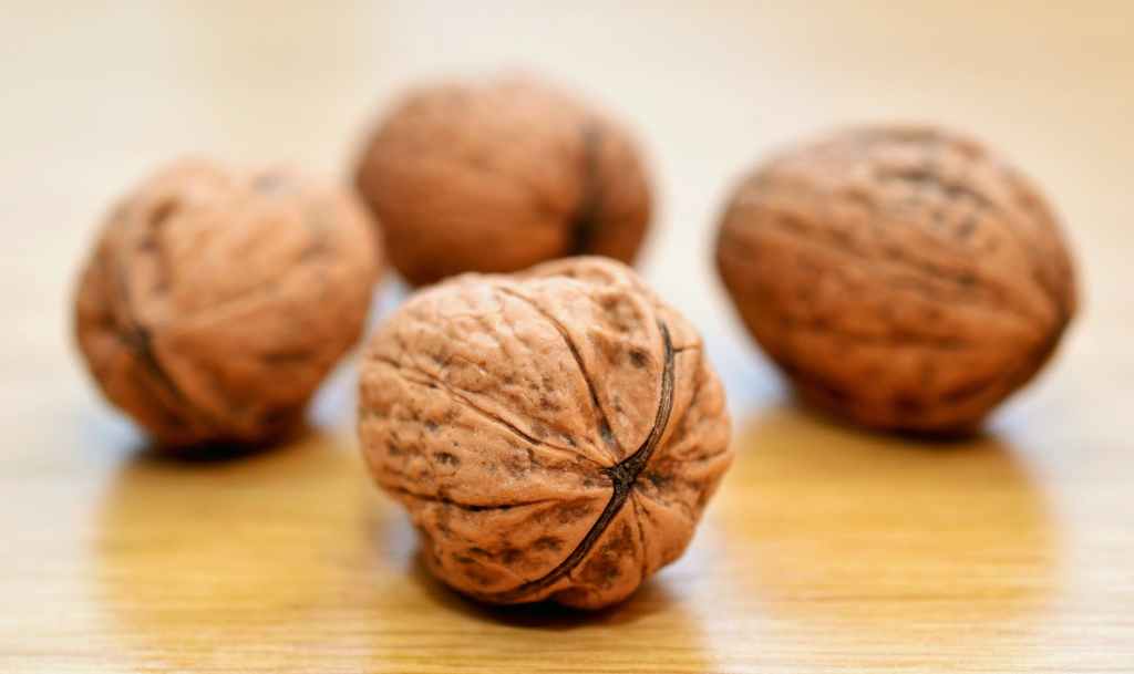 The image shows 4 walnuts in their shells. 10 Completely Random Facts About Nuts.