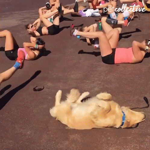 The image shows women and a dog exercising on their backs. 5 Easy Ways to help relieve bloating.